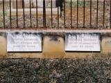 image of grave number 468824